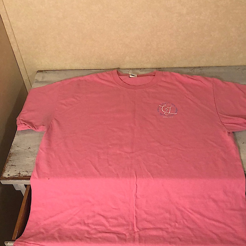 Chloe Lane design on a Gildan heavy cotton shirt XL Pink with a turtle design